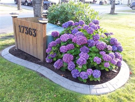 how to plant around electrical boxes|landscaping to hide utility box.